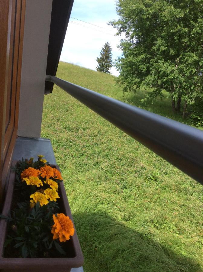 Apartman Odolov Jestrebi Hory Male Svatonovice Exterior foto