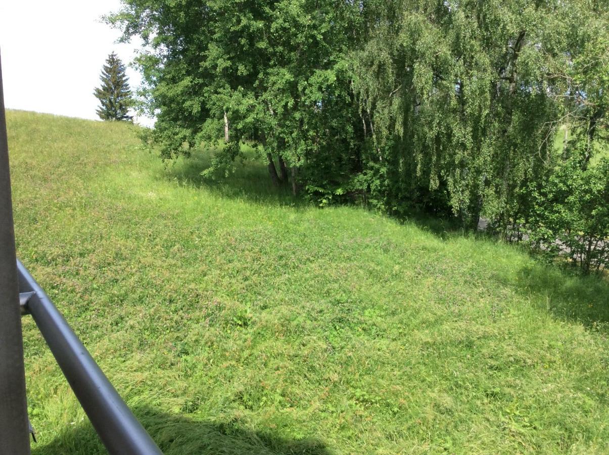 Apartman Odolov Jestrebi Hory Male Svatonovice Exterior foto