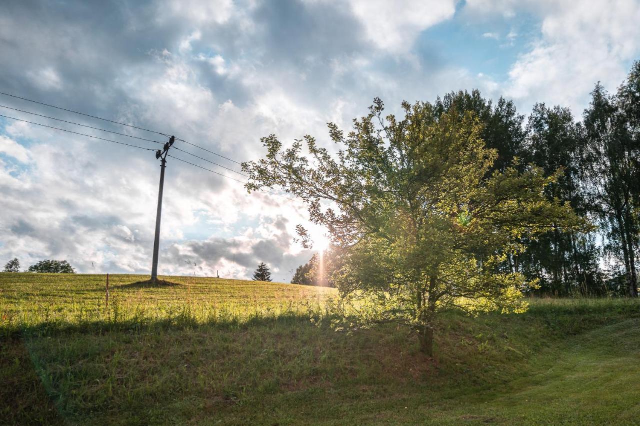 Apartman Odolov Jestrebi Hory Male Svatonovice Exterior foto